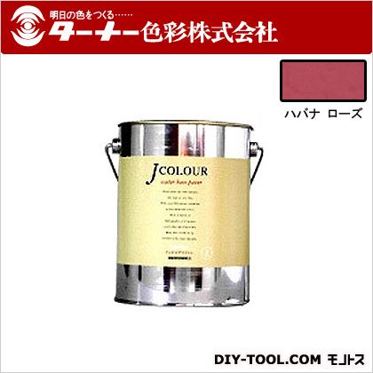 ターナー色彩 Jカラー 2L ハバナロース JC20VI1D