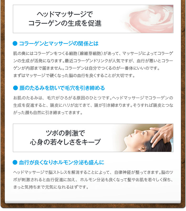 ポイント10倍♪【モンデールヘッドスパID3S(アイ・ディー・スリー・エス)】正規品専用ケース付きシンプルかつ高機能のヘッドマッサージャーヴァルテックスbreomondialeheadspaiD3S(送料無料)