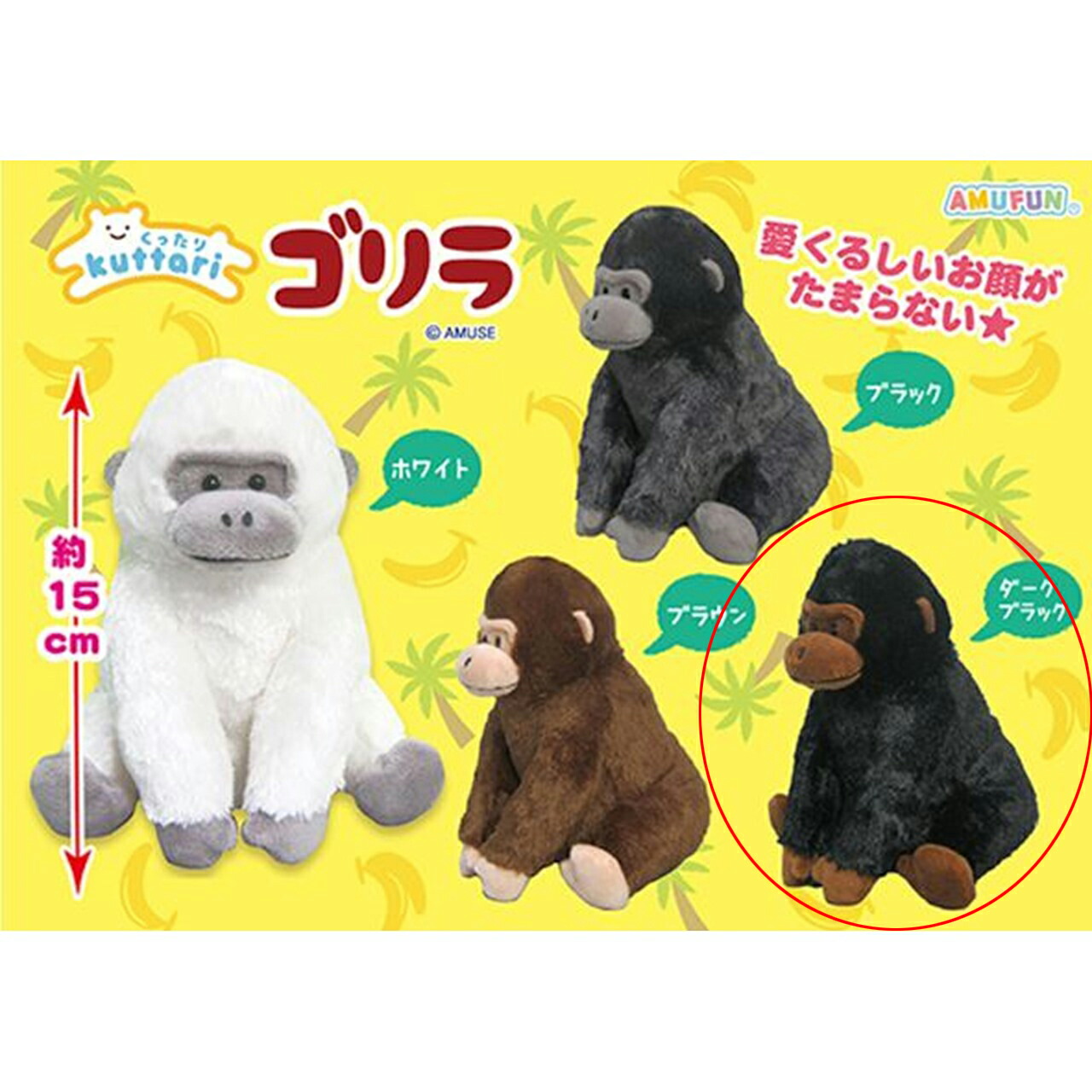 新商品情報｜アミューズ最新情報