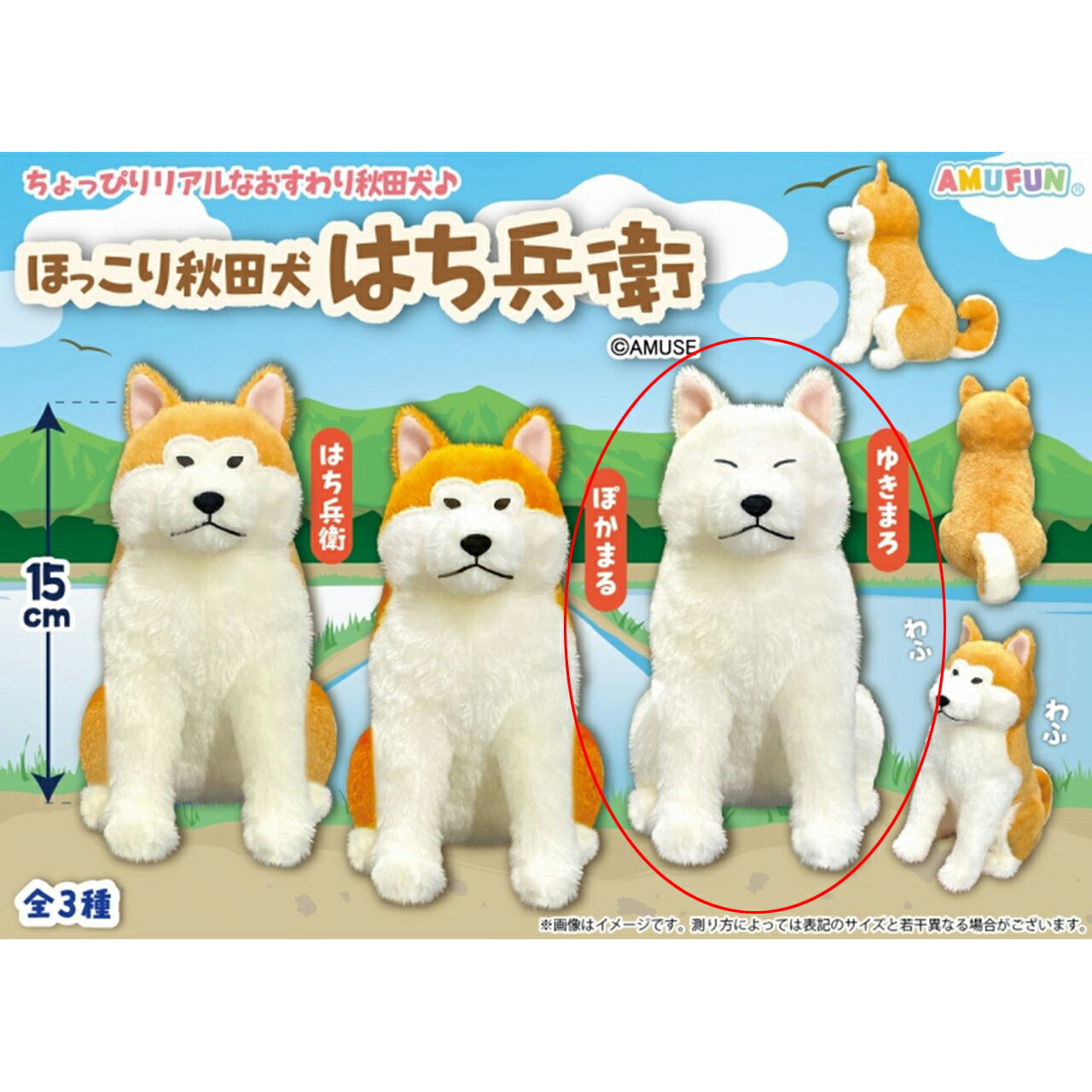 ブルーピリオド もちころりん 矢口八虎 予約】ブルーピリオド もちころりん ぬいぐるみマスコット | は