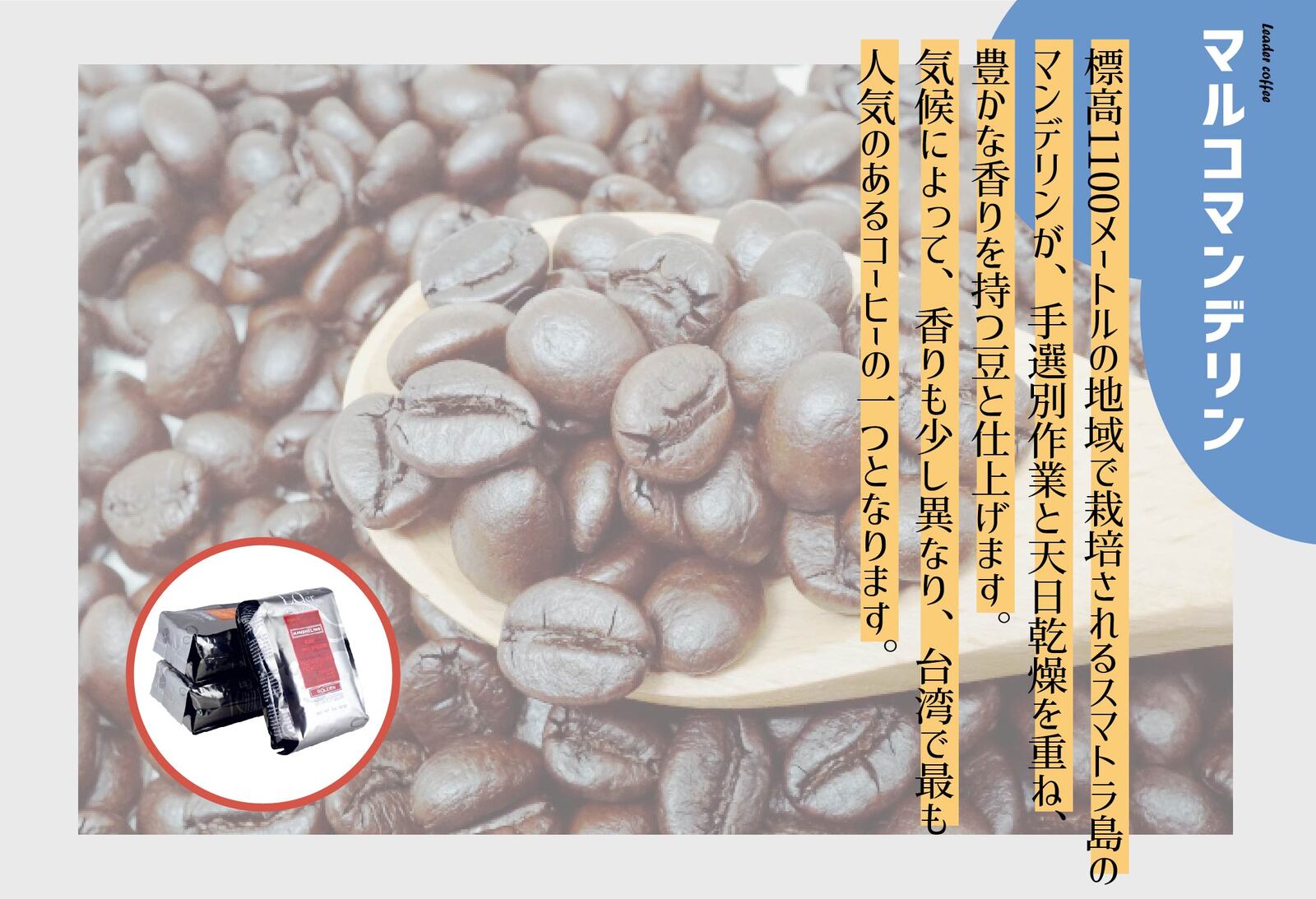 上品 ゴールデンマンデリン コーヒー豆 手作り木箱付き 飲み物 コーヒー 0 5ポンド 力代台湾名物 台湾直送 売り切り御免 Www Purpleforparents Us