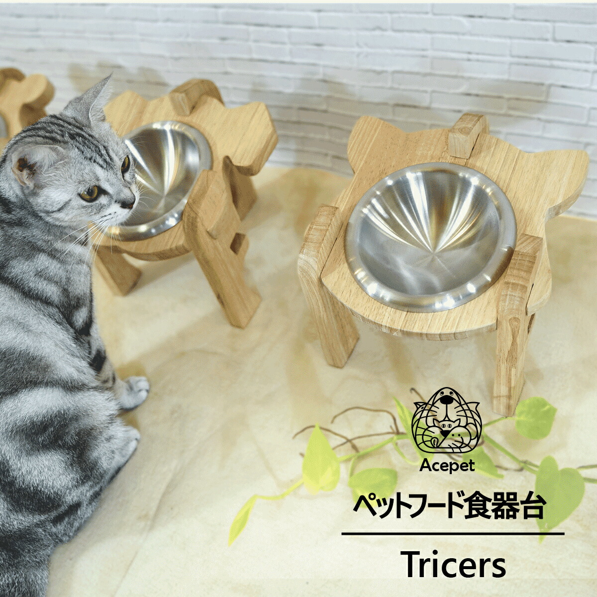 楽天市場 ペット食器 エサ皿 ペットフードボウル 3仕様 餌入れ 木製 組み合わせ フードボウルスタンド ステンレス 滑り止め 防水 給食器 給水器 食器台 餌台 犬用 猫用 ペットフードベットグッズ 台湾直送 Tw Direct