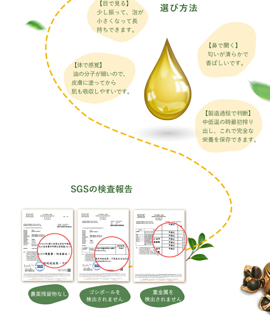 Ssターム内方倍ヶ所上ぼる 高上 ツバキオイル ゼロてん補 中華民国製造 つばき 椿油類 ユチャ カメリア油 赤銅油 有機 ベジタリアン 純正の100 野生 健常 耳あたらしい 酸桃山茶油 台湾直送 Ph Services