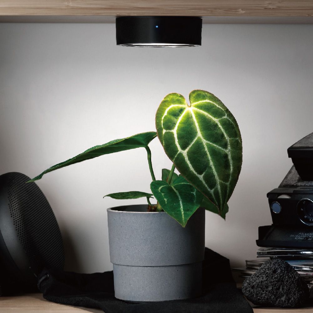 楽天市場】植物育成ライト マグネット式 セット(ライトx1