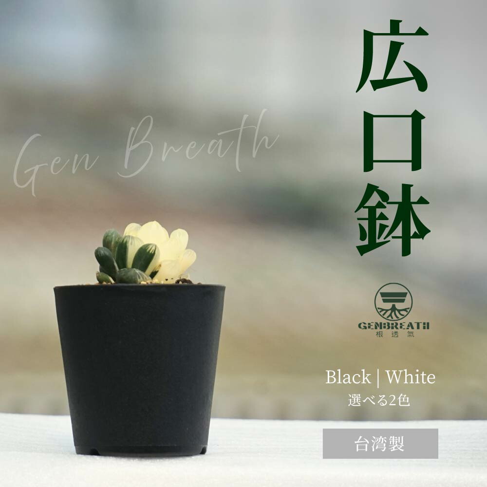 楽天市場】植木鉢 広口鉢 2色／6種類から選べる 6個/12個/マルチセット