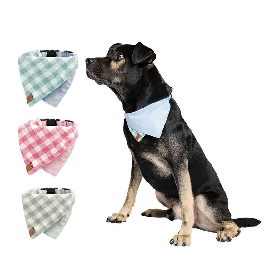 犬服・アクセサリー M&A ハンドメイド犬服ならanbia（アンビア）～きゃみたんく