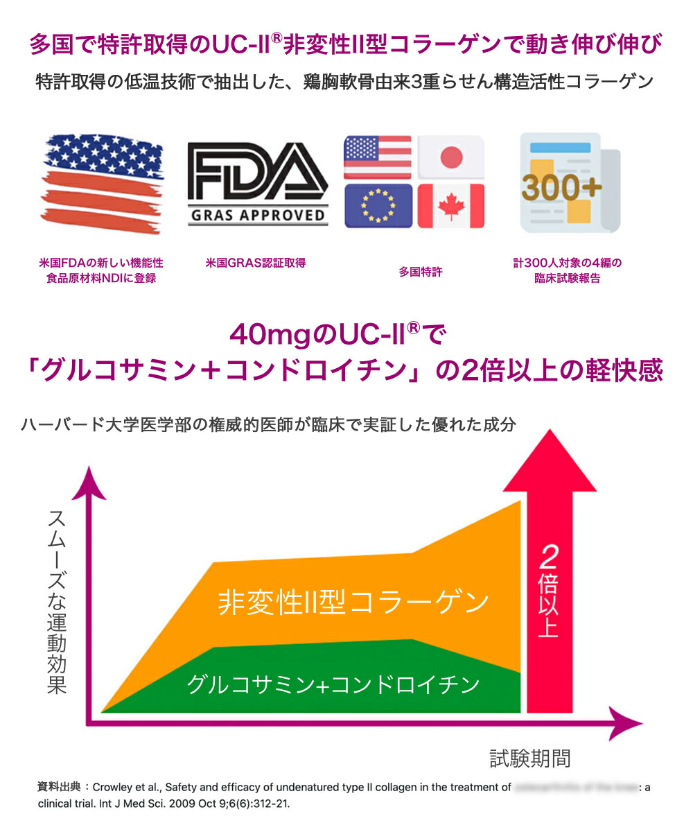 ☆新春福袋2021☆ コラーゲン 2型 非変性 II型コラーゲン UC-II 30粒 タブレット サプリ 高分子 ヒアルロン酸 鶏軟骨 サプリメン  健康食品 関節 膝 関節サポート 関節ケア fucoa.cl