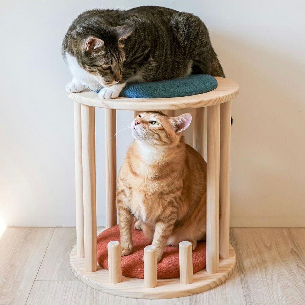 【888円割引商品】キャットハウス スツール 猫用 木製 パイン材 クッション付き ペット用ハウス ペットハウス いす 椅子 チェア ペット用 ペット用品 ペット 猫 ねこ 多頭飼い インテリア おしゃれ かわいい 【握踏WOTA】【台湾直送】|TW Direct