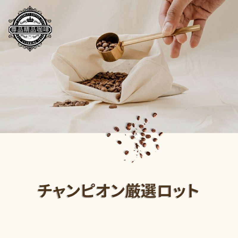 【3点購入で888円OFF】コーヒー豆 エチオピア チャンピオン厳選ロット ロースティング チャンピオン 単一農園産 自然乾燥 浅煎り 220g 454g【珈琲来找茶】【台湾直送】【送料無料】