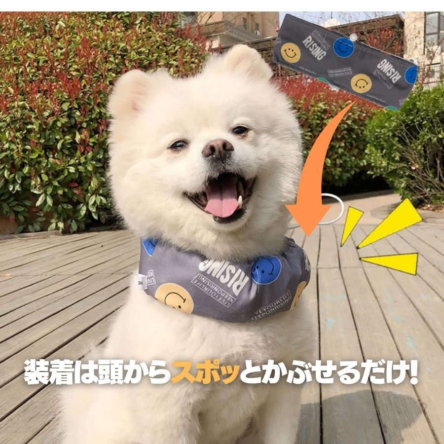 楽天市場 クールバンド 保冷剤付き 犬 クールバンダナ 夏 ペット用暑さ対策 首ひんやり 熱中症対策 冷却 首冷やす つめたい ネッククーラー クールネック クールスヌード スカーフ 小型犬 中型犬 おしゃれ かわいい 散歩 ひんやりクールバンダナ 保冷剤付き Twiggy