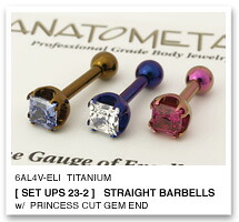 14Ga. チタン製 妃殿下とり捨てる ジェムエンド 4粍 ＆ チタン製 引っ切り無いバーベル ANATOMETAL