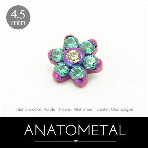 楽天市場】3mm フラットボトム エンド 単品 ANATOMETALチタン製台座