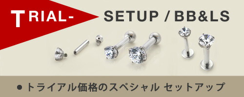 楽天市場】18金 トライビーズ エンド 単品 ANATOMETAL : 214Co．