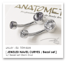 14Ga. チタン製 LARGE ベゼル ネイブルカーブス ANATOMETAL ジュエリー・アクセサリー-ボディピアス