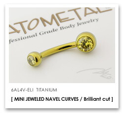 14Ga. チタン製 MINI ダブルジュエルド ネイブルカーブス ANATOMETAL｜２１４Ｃｏ．