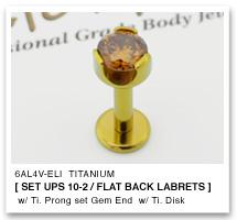 16Ga. チタン製 プロングセット ジェムエンド 3mm ＆ チタン製 ラブレットシャフト ANATOMETAL｜２１４Ｃｏ．