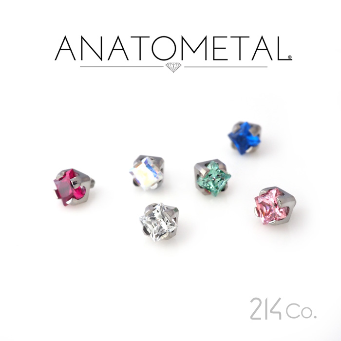 楽天市場】チタン製 ジェムスター エンド Small 単品 ANATOMETAL 