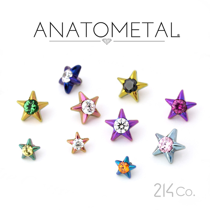 チタン製 ジェムスター エンド Large 単品 ANATOMETAL チタン台座 ジルコニア 5A ボディピアス パーツ キャッチ インターナル  インターナリー バーベル用内ネジ式 18g 16g 14g 12g 用【米国アナトメタル社正規直輸入品】 | ２１４Ｃｏ．