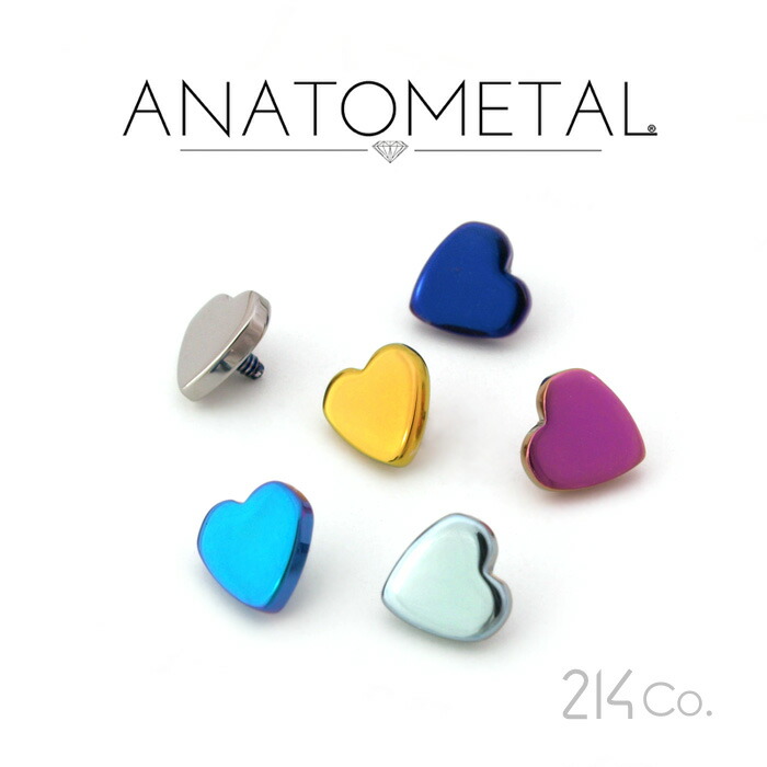 楽天市場】チタン製 ジェムスター エンド Large 単品 ANATOMETAL 