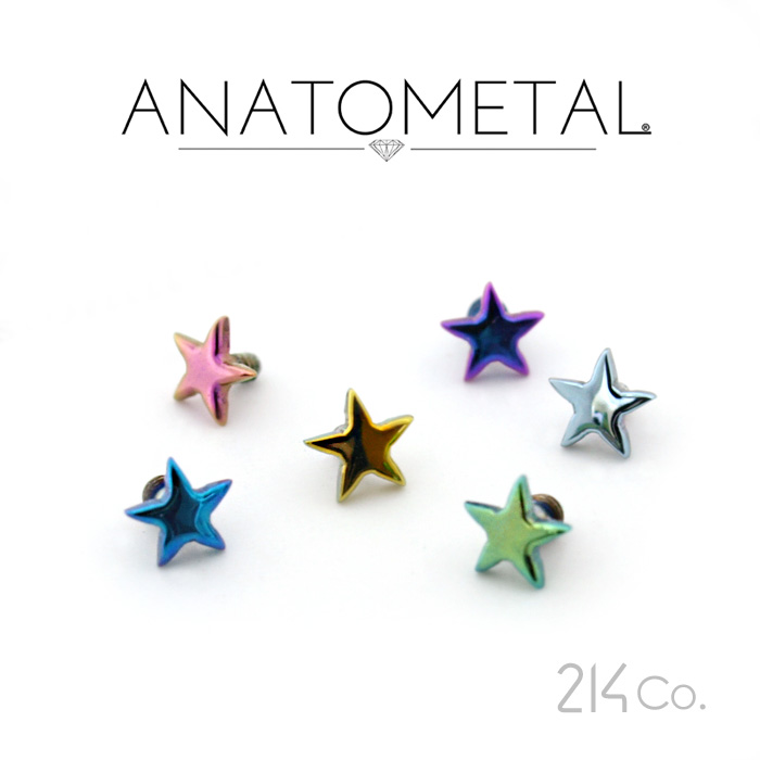 楽天市場】チタン製 ジェムスター エンド Large 単品 ANATOMETAL