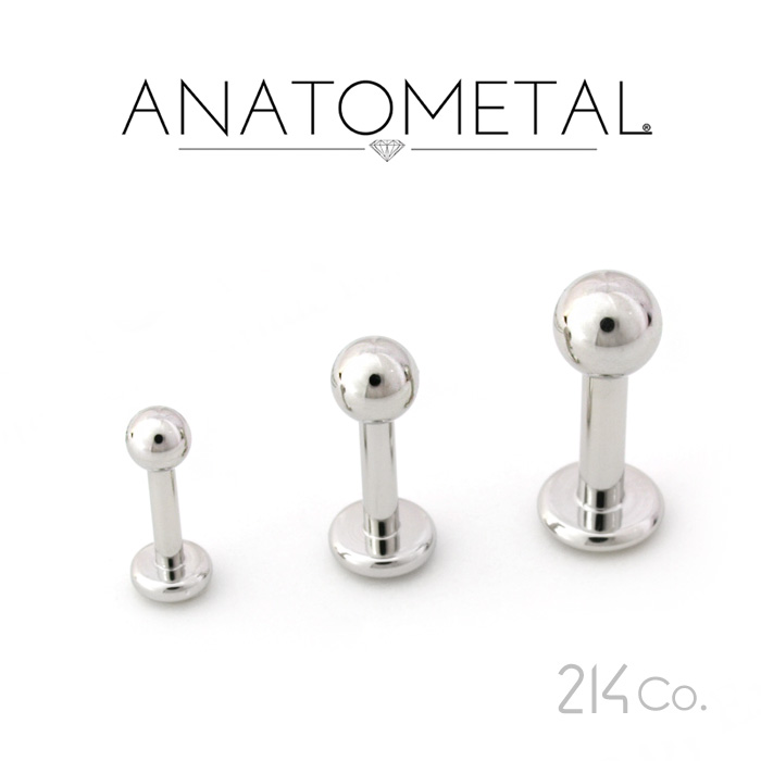 【楽天市場】ステンレス製 ラブレット シャフト 単品 ANATOMETAL 