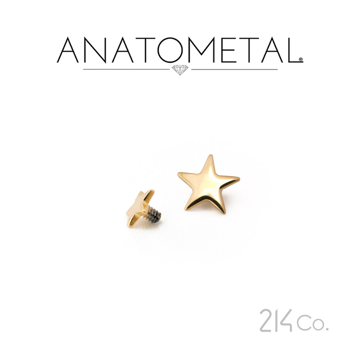 18金 はやりっ児挙げ句の果て 単品 ANATOMETAL