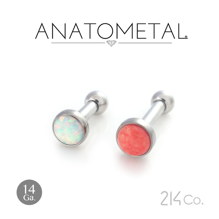 14Ga. チタン製 ベゼルカボション ジェムエンド 4粍 ＆ ステンレス鋼製 引っ切りないバーベル ANATOMETAL