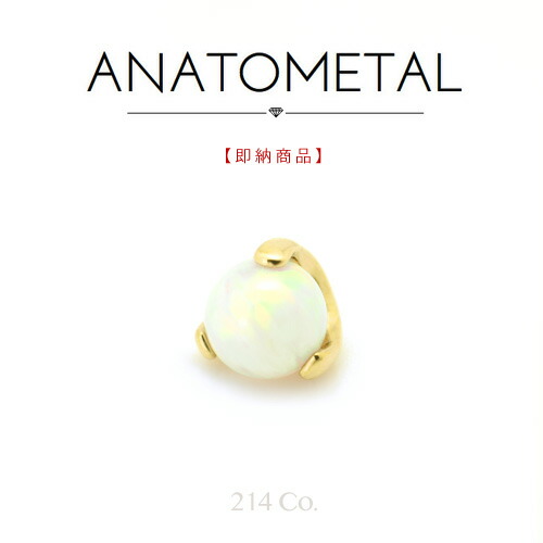 アナトメタル　ファラタエンド　ローズゴールド18金 ANATOMETAL アナトメタルのローズゴールド！！