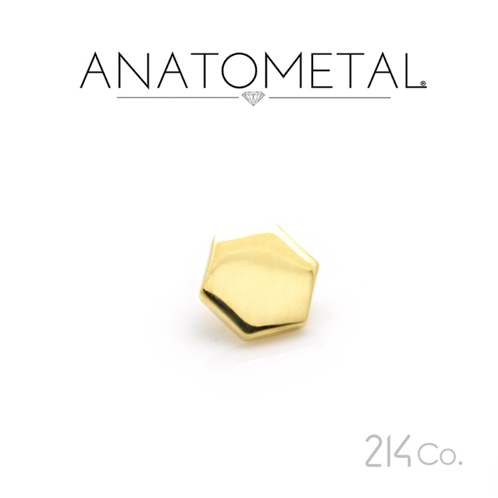 18金 ヘキサゴンエンド 単品 ANATOMETAL