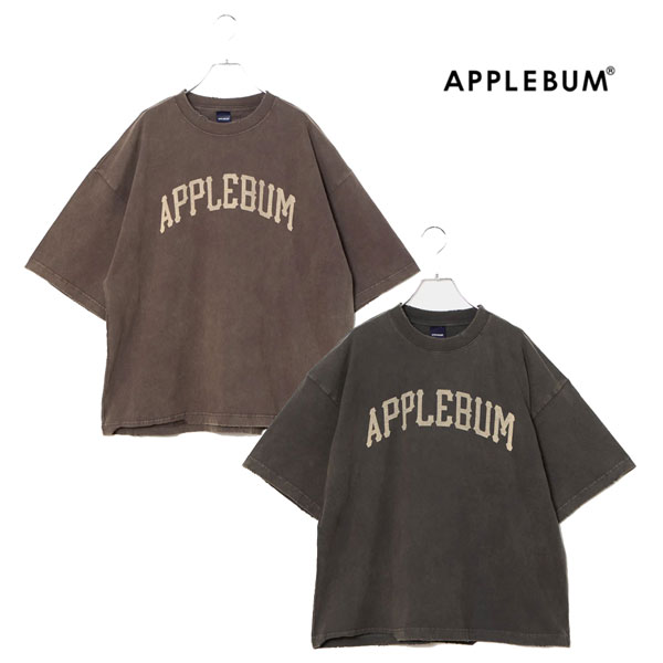 Applebum Damaged Short T-Shirt アップルバム ダメージド 遊撃手 紅茶プルオーバー