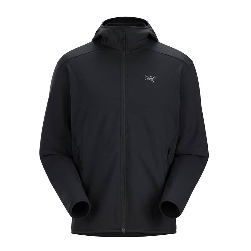 【国内定め事品】ARC\u0027TERYX(アークテリクス) Kyanite Lightweight Hoody(カイヤナイトライトウェイトフーディ) Mens X000009641