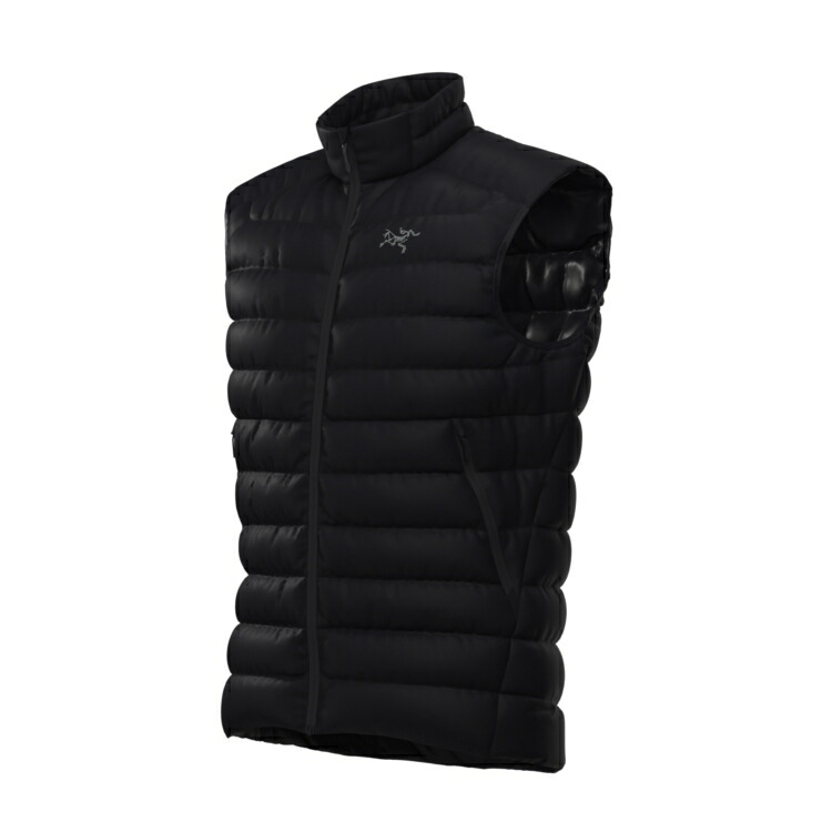 楽天市場】【10%OFFクーポン配布中】ARC'TERYX (アークテリクス