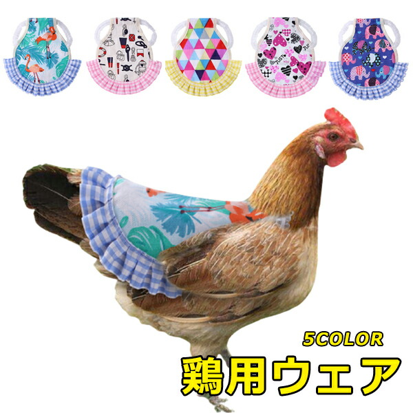 Amazon.co.jp: 鶏の反射ベスト、鶏のサドル、調節可能なベルトの