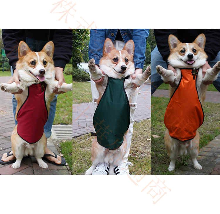 犬用猫用 メス オムツカバーペット生理オムツ マナーウェア マナーベルト マナーバンド パンツ ドッグウェア しつけ マーキング防止トイレ介護 術後服着術後ウェア メール便 情熱セール