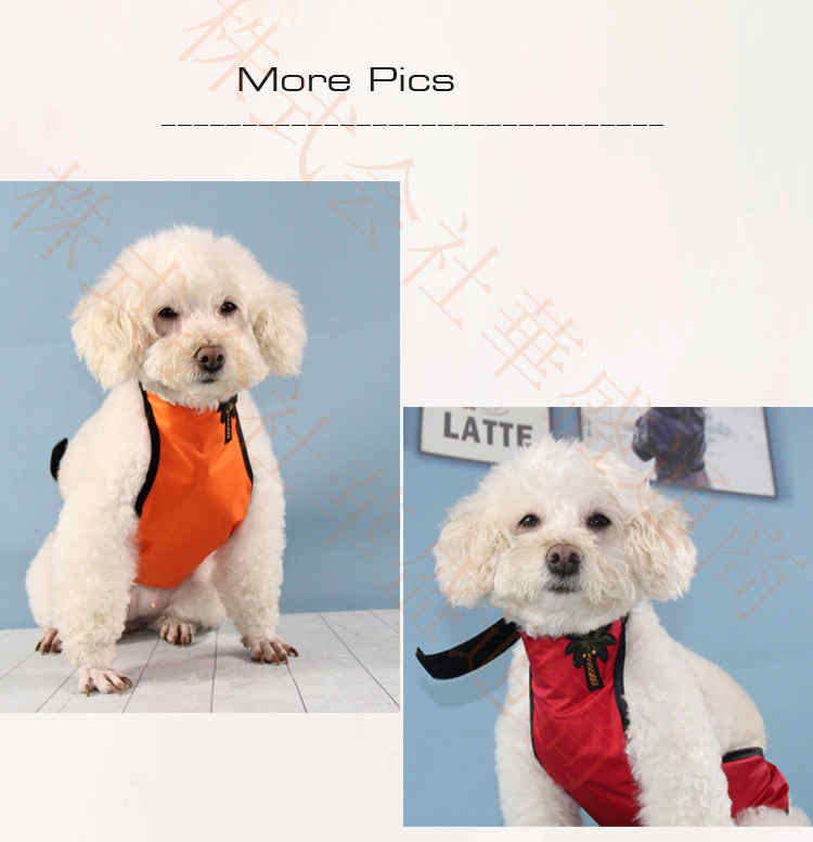 犬用猫用 メス オムツカバーペット生理オムツ マナーウェア マナーベルト マナーバンド パンツ ドッグウェア しつけ マーキング防止トイレ介護 術後服着術後ウェア メール便 情熱セール