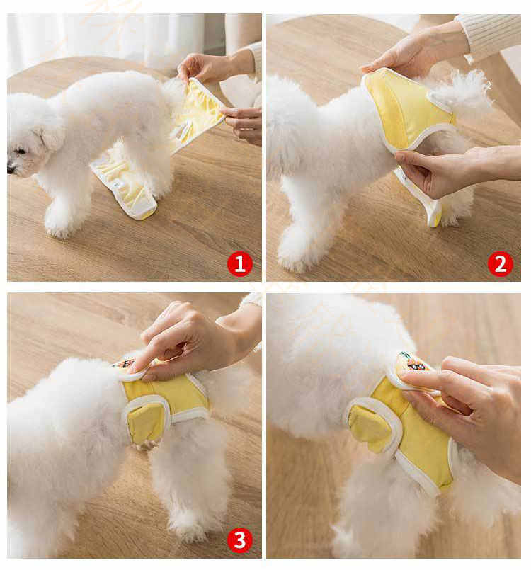 犬用おむつ メス犬用生理パンツ ペットウェア 犬用 生理パンツ 犬マナーパンツ 雌犬生理用品 洗濯可能 可愛い お出かけ 介護 おもらし対策 しつけ用品 おむつカバー ドッグウエア マーキング防止 ビションフリーゼ テディ犬 メール便 好評