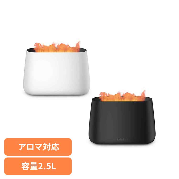 Stadeker Form Ben2.0 加湿器 StadlerForm スタドラフォーム デザイン家電 北欧 おしゃれ 超音波式 アロマ 加湿器 リビング 寝室 Stadler Form ホワイト ブラック|ウエノ電器 店