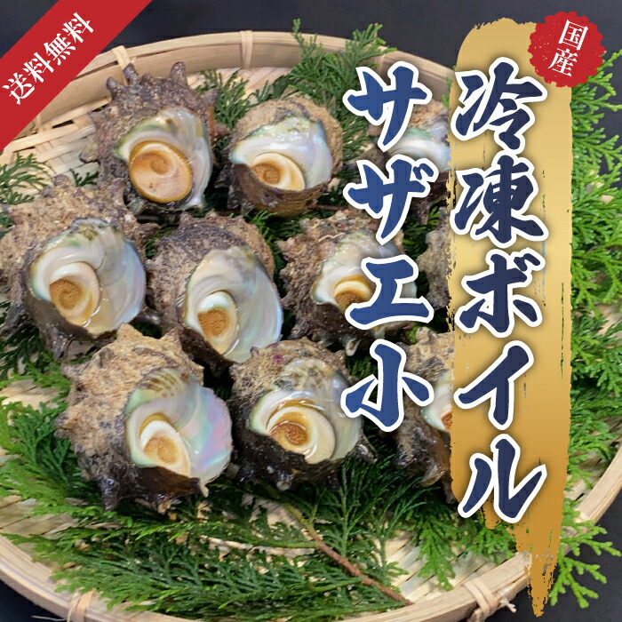 楽天市場】冷凍海鮮セット [サンセット] さしみお造りさざえ・殻付