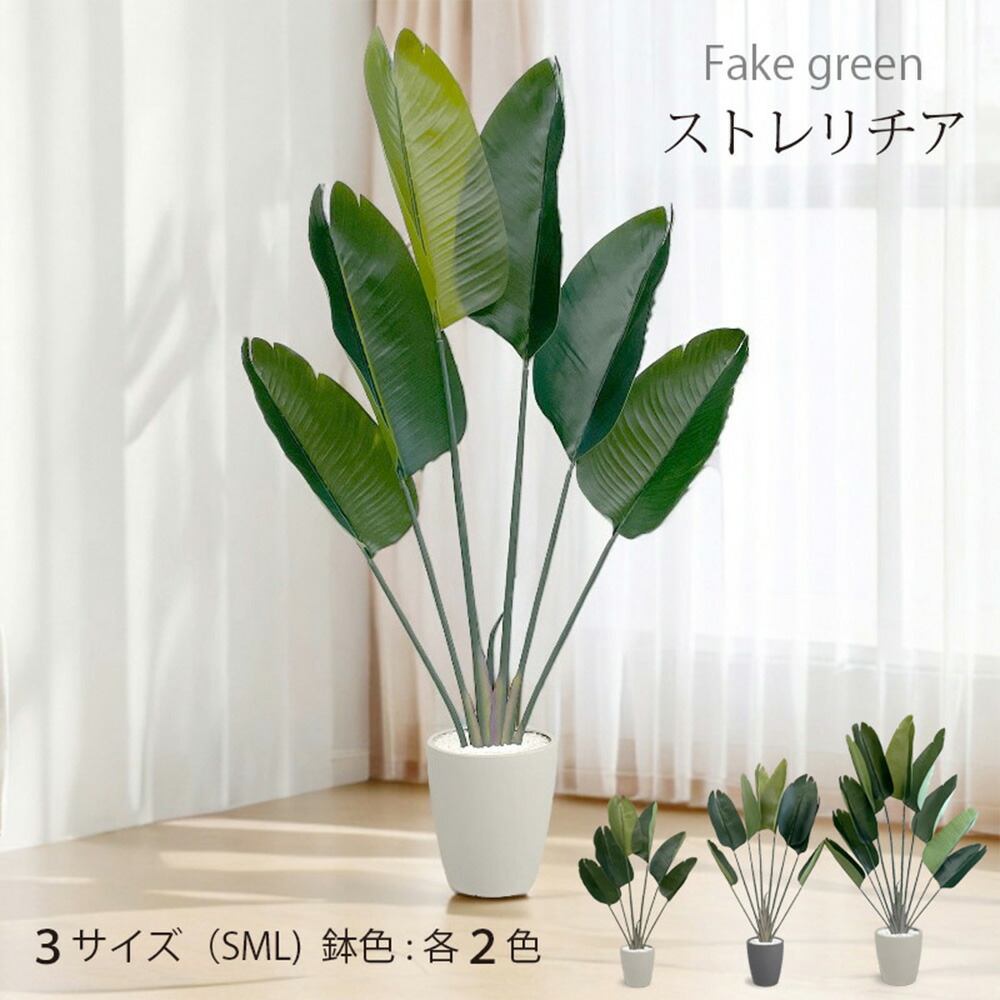 まくら特集 花・観葉植物-花・ガーデン・DIY-観葉植物