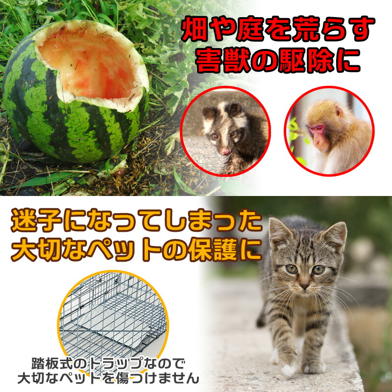 市場 捕獲器 モグラ トラップケージ 動物 捕獲機 わな アニマルトラップ 害獣 罠 猫 保護 32インチ バネ式 アニマルキャッチャー 小動物  ハクビシン