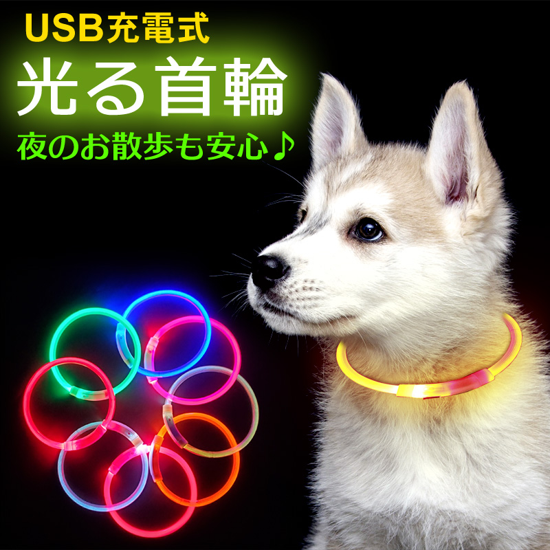 本物保証】 S 犬 光る首輪 点灯 ホワイト USB充電式 散歩 発光首輪 LED