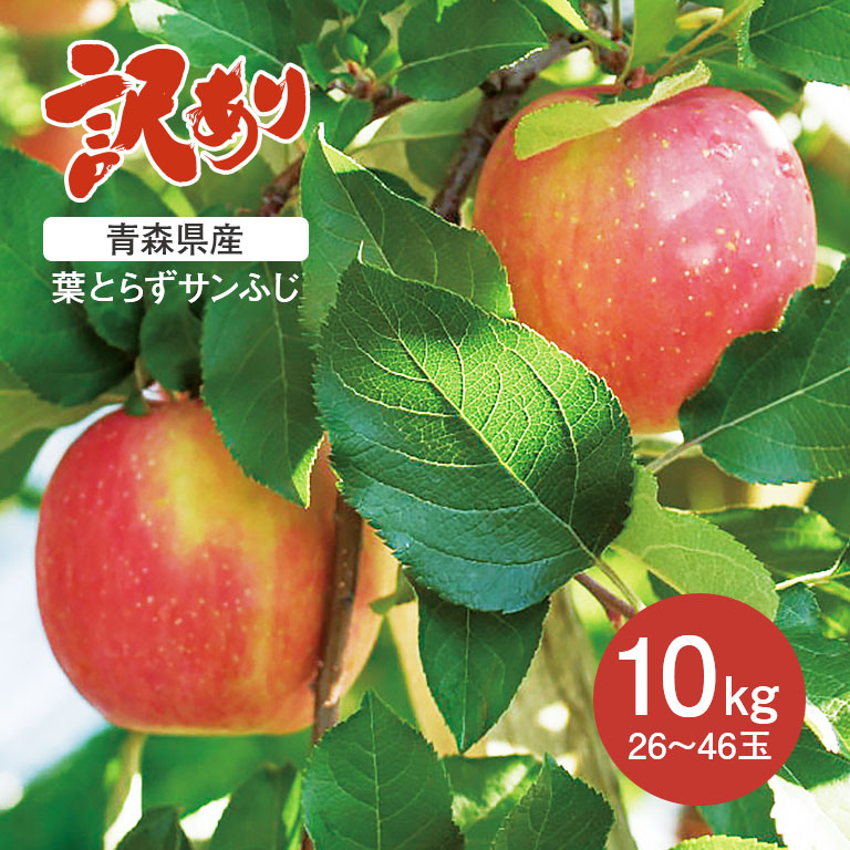 楽天市場】サンふじ 10kg 青森県産 贈答用 りんご 32〜36玉 林檎