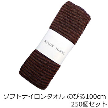 BIG大きさ ソフトボディタオル(1書き割り250個入)1個当たり66.35円（税込）