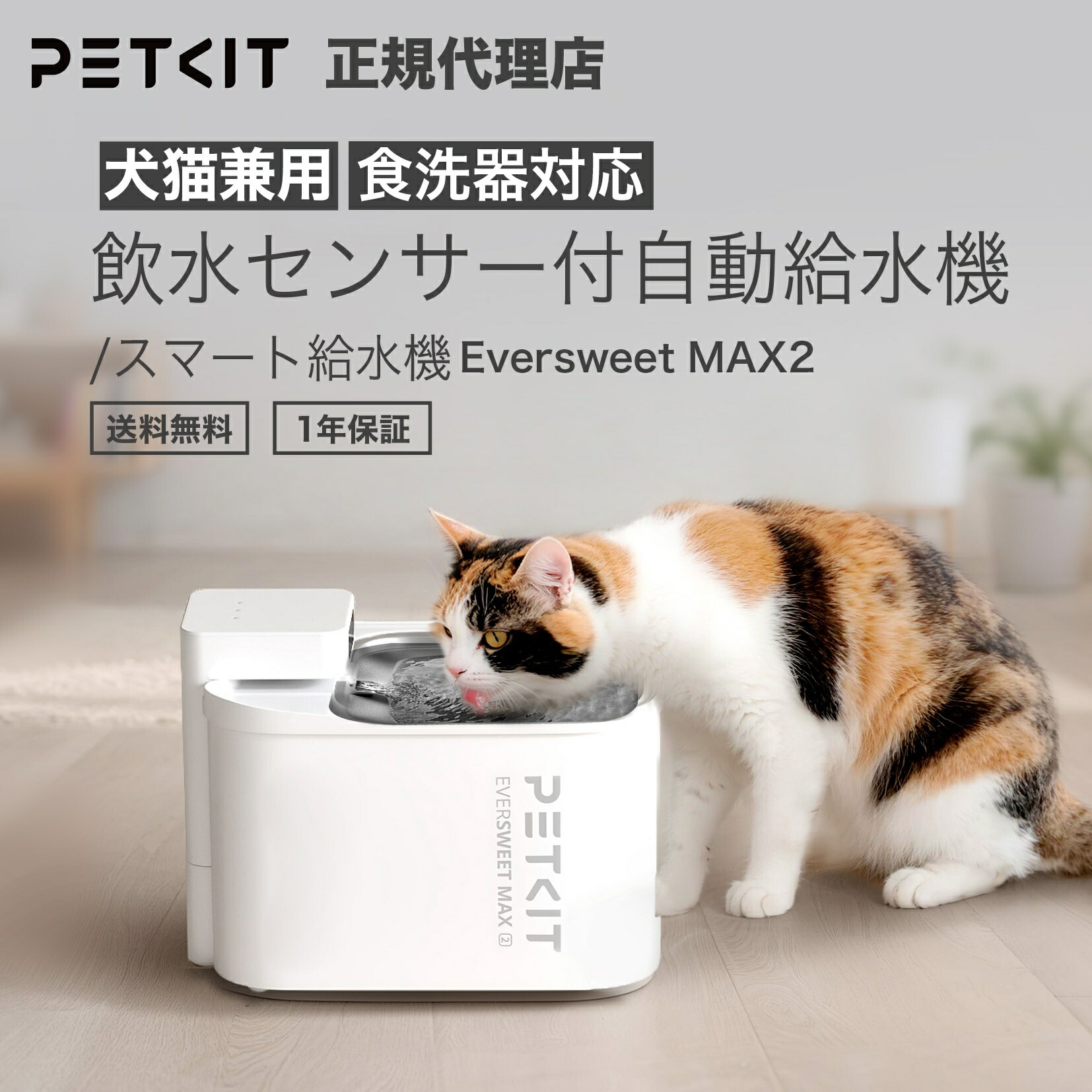 ブル小峡谷 シティー寄せあわせ＆ブロンズ SALE