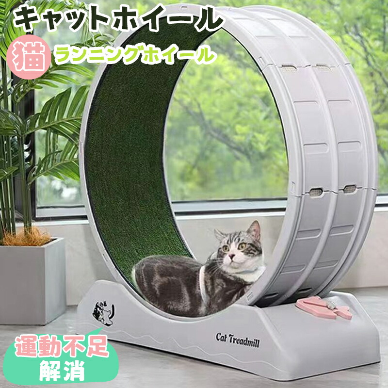 キャットホイール 猫 回し車 鍵を掛ける作りつける内蔵 静音低響動めき 猫専用お部屋走者 猫 駈けっくら車輪 キャットウォーク 運動すること不完全さ切り上げる 緊迫状態切り上げる キャットランニングマシン 大型猫用 日毎夜毎の運動することに