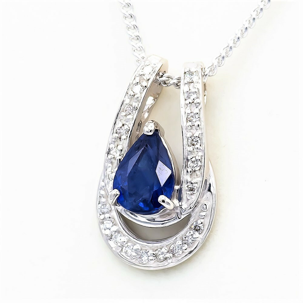 【選べる地金】サファイヤ ペンダント ダブル馬蹄 0.9ct Pt900/K18WG/K18YG|ubazakura