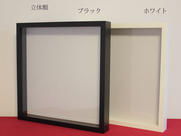 (真作保証)BACKSIDEWORKS 浮かし額装 カードホルダー | YAMASAKI DESIGN WORKS | niguramu