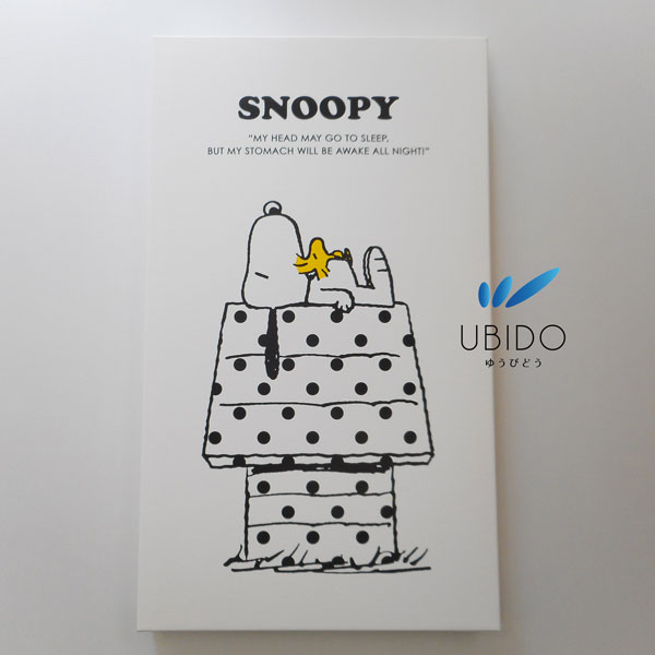 スヌーピー アートパネル キャンバス スヌーピーアートパネル ピーナッツ【ドットハウス】（300×514ｍｍ） キャンバスアート ウォールアートパネル ファブリックパネル インテリア キャンバスパネル 絵 店舗 子供部屋