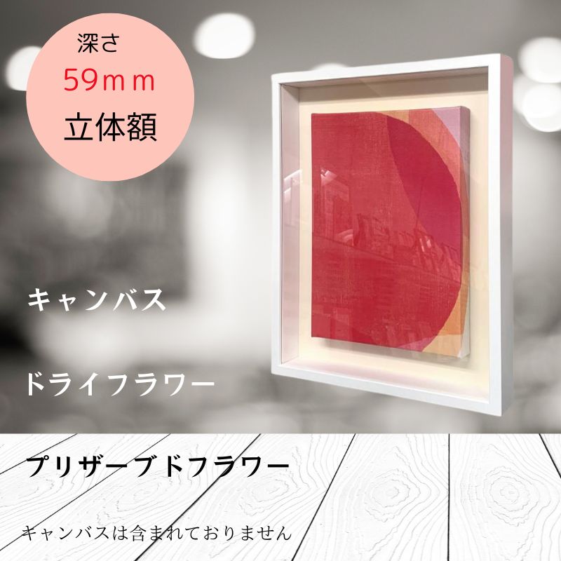 楽天市場】ボックスフレーム 高さ50mm（深さ39mm）キャンバス 0号