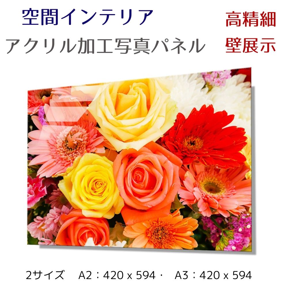写真パネル 壁インテリア ウォールアート/ 美しい花/Beautiful flowers /花 絵画 ポスター 額入り インテリア 壁 おしゃれ 壁掛け リビング 寝室 ホテル タワマン ホール 施設 新築祝い 開業祝い 開店祝い プレゼントフレーム付き 玄関 部屋に飾る 植物 花 ギフト|アートインテリア額縁のゆうびどう